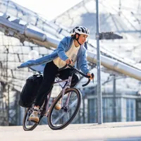 Ortlieb Vario Lite