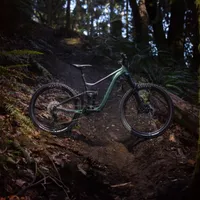 Giant Reign 2 Mountain Bike 2026