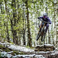 Troy Lee Designs - Protection