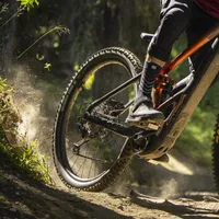 Orbea Wild 