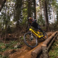 The All-New Orbea Wild LT