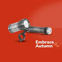Embrace Autumn - Exposure Lights