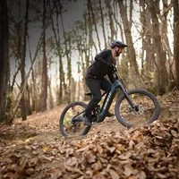 Giant Stance E+ 0 2027