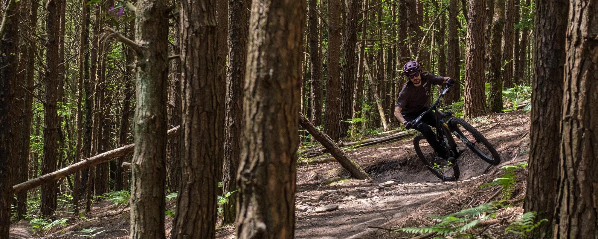 a specialized mountain bike with roval wheels is ridden in the woods