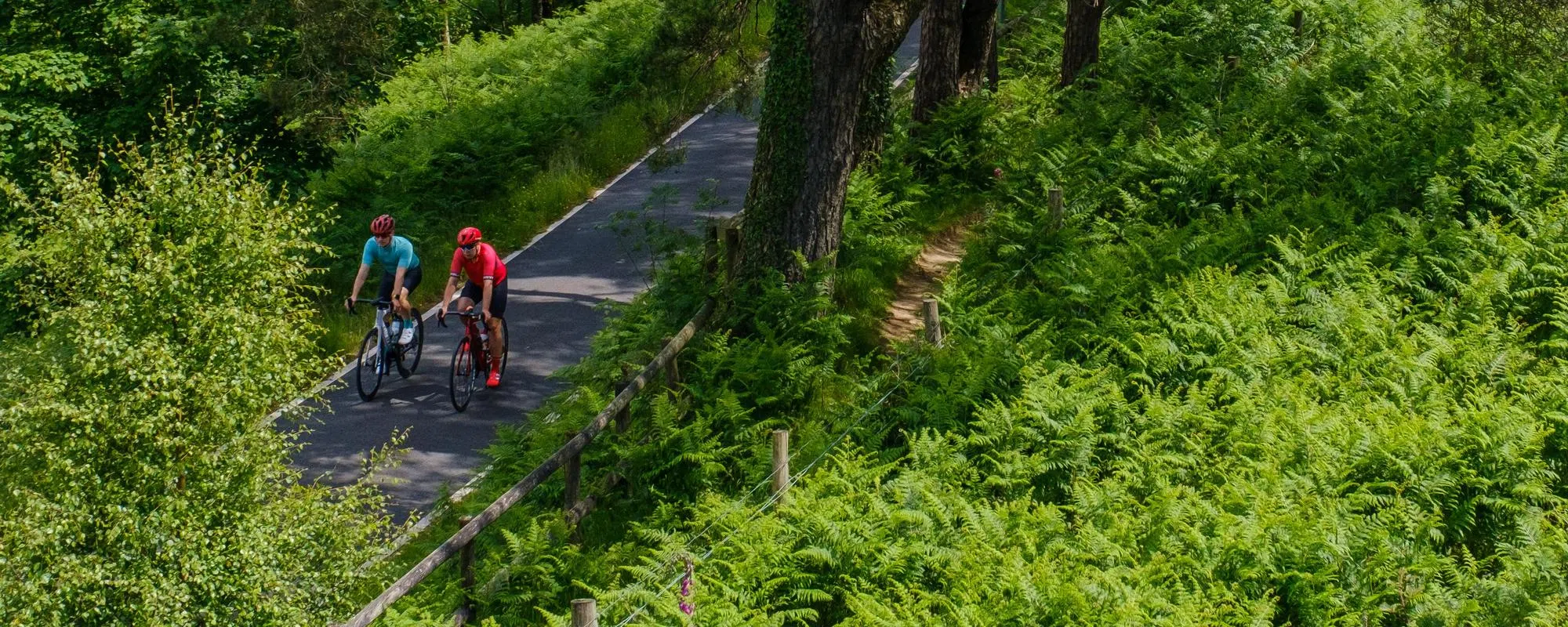 road bikes are ridden through a forest road