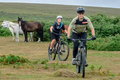 Two female mountain bikers cycling past horses