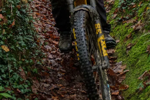 mountain bike tyres on muddy trail