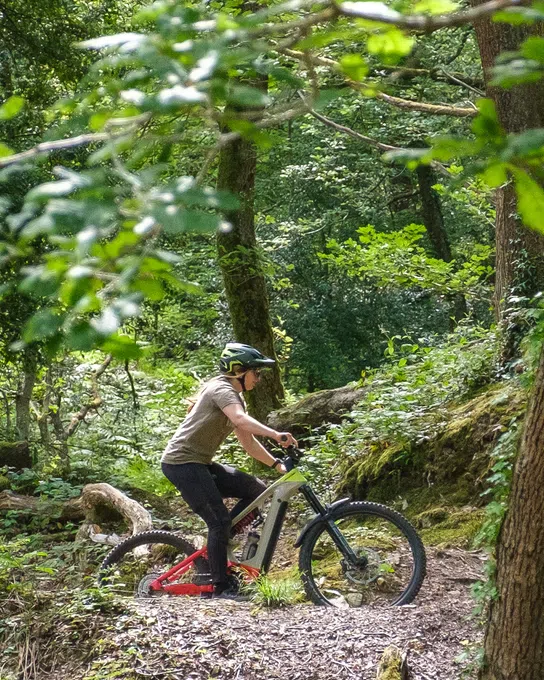 woman climbing on a Cannondale emtb in the woods on a summer day