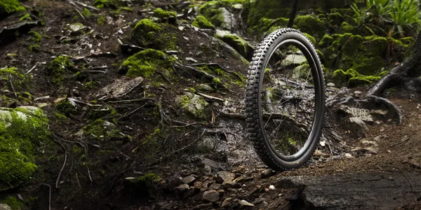 Bontrager MTB Tyres