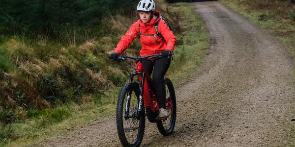 Specialized Levo Alloy Gen 3