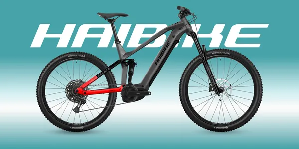Haibike ALLMTN 4 2025
