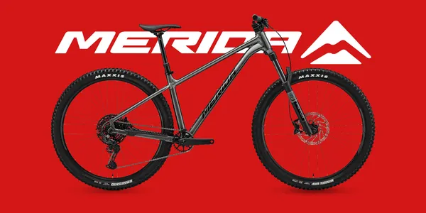 January Sale - Merida