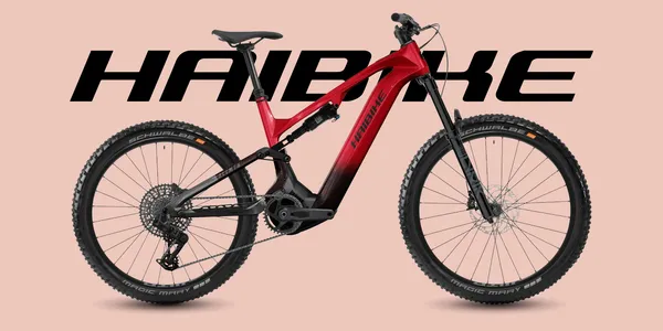 Haibike ALLMTN CF 9 2026 - Electric Mountain Bike