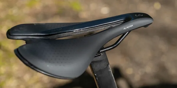 Saddles