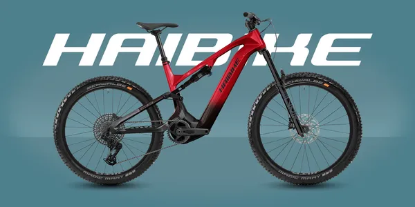 Haibike ALLMTN CF 9 2026
