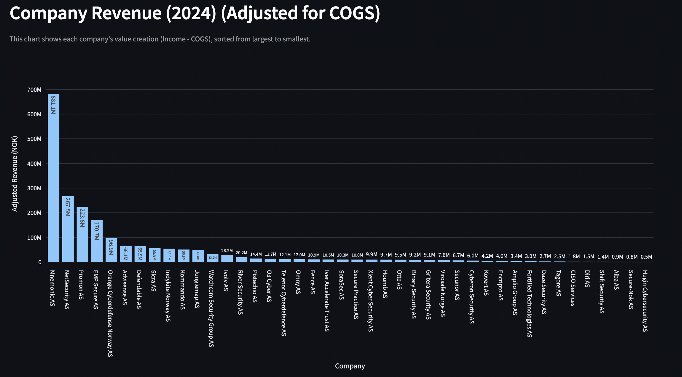 company revenue 2024.png