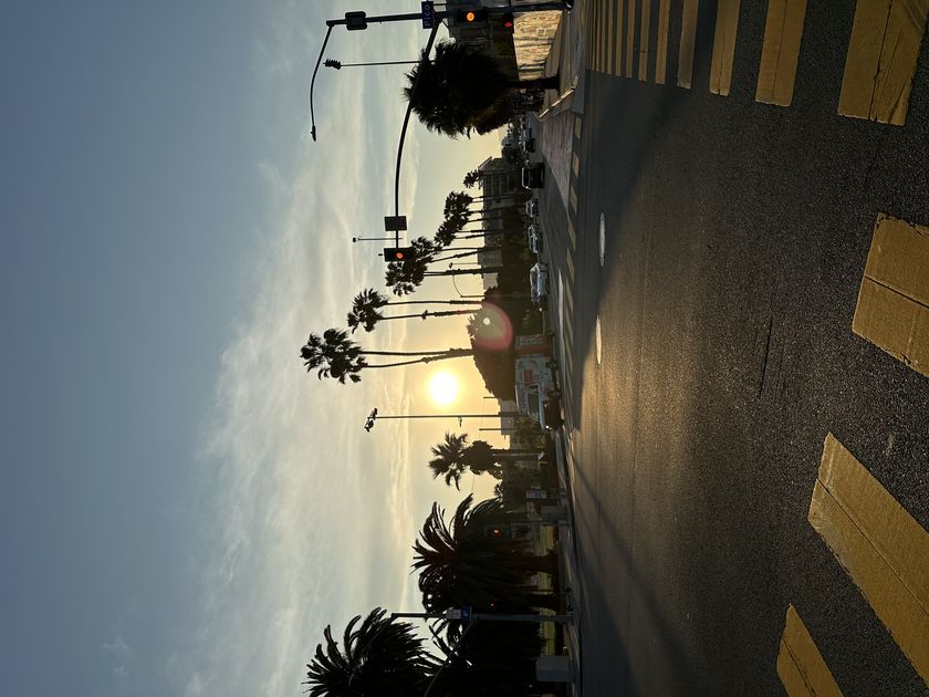 IMG_2318.jpeg