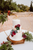 a gold and white wedding cake with plant decor 