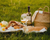 wine and bread picnic in grass field 