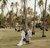 wedding photos in a field filled with palm trees