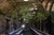 wedding dinner in a barn with leaf decor