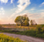 a tranquil field in the countryside