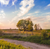 a tranquil field in the countryside