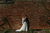 happy newlyweds hugging in front of a brick wall