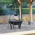 IvyLine brand you'll love
