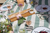 amuse la bouche stripped table cloth