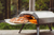 Making pizza in Ooni pizza oven