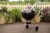 Weber BBQ in the garden