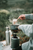 people making porridge in a forest 