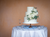 simplistic wedding cake on wooden stand 