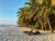 an empty beach with palm trees and sunbeds