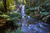 a waterfall lake in a tropical forest 