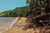 colourful beach houses with palm trees facing the beach in goa