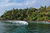 a man surfing on a beach facing trees in sri lanka