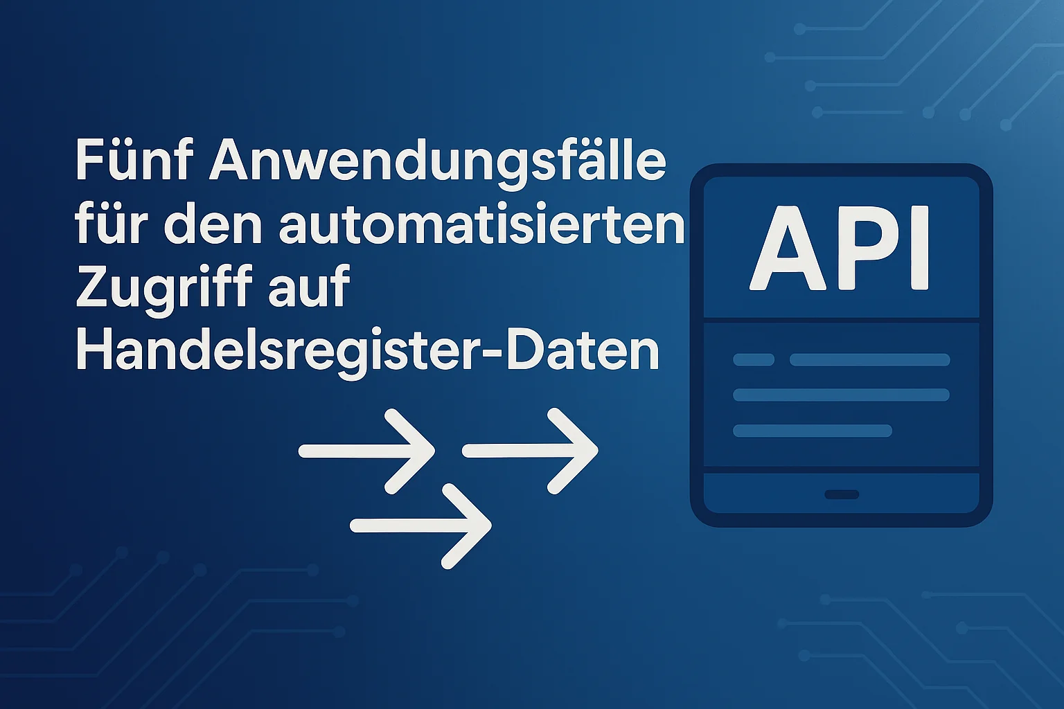 Abbildung: Nutzer greift über eine Handelsregister-API auf Unternehmensdaten zu