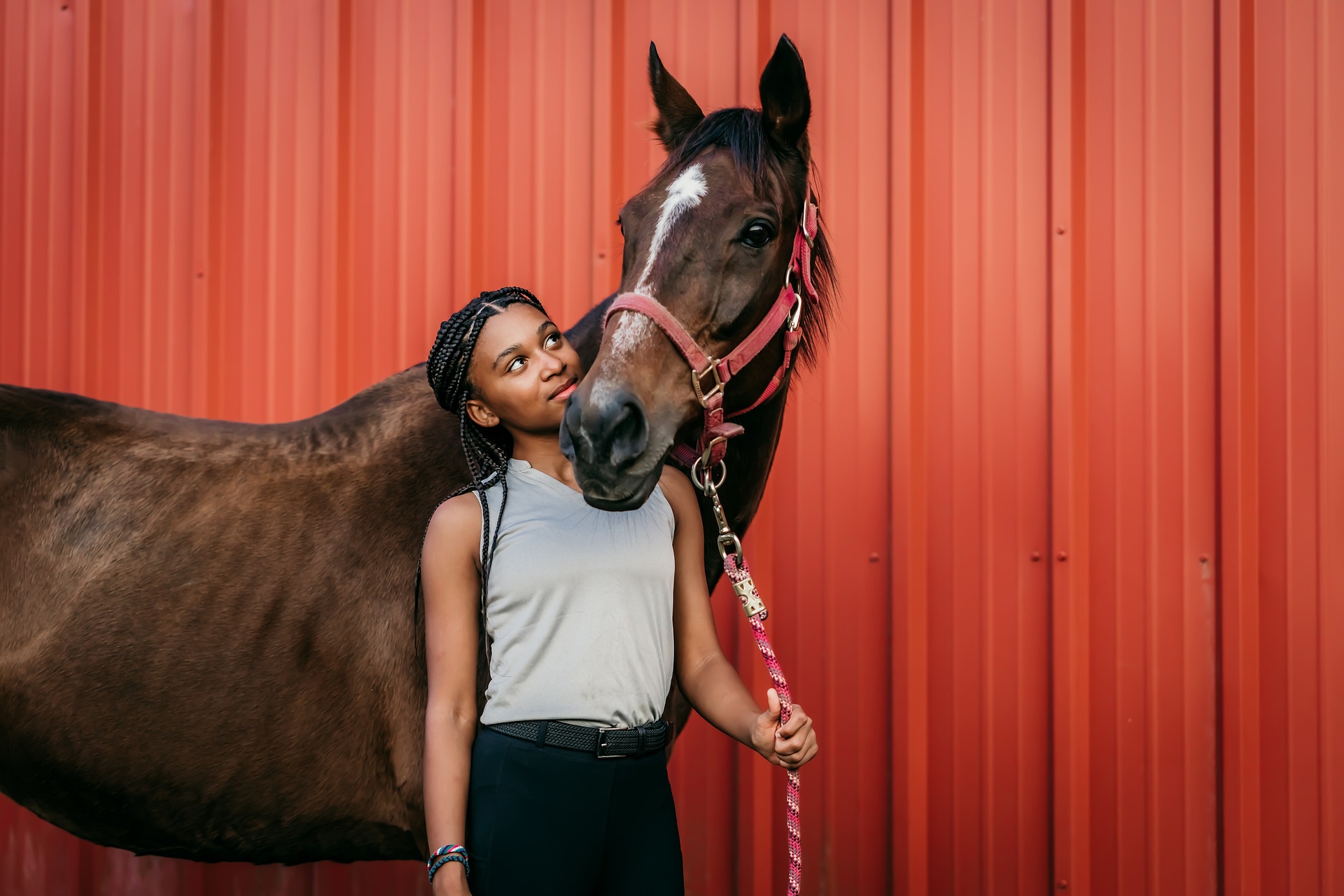 Horse Therapy: Science or Scam?