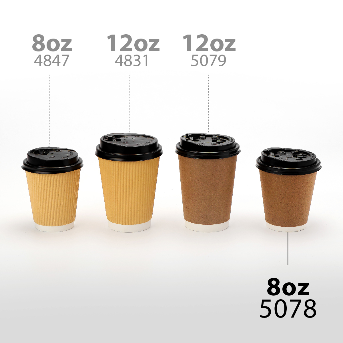 Coffee Cupsai_5078.jpg