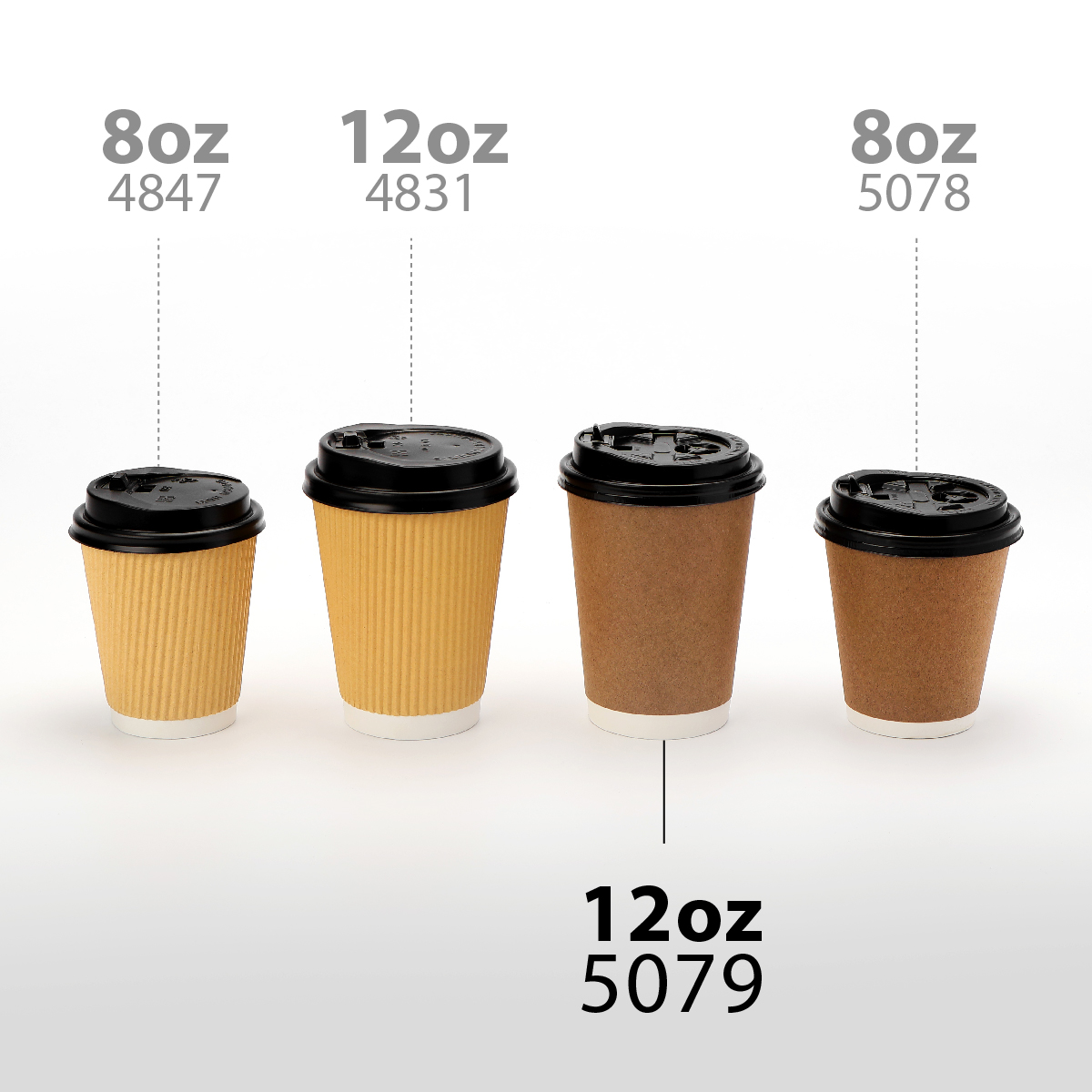 Coffee Cupsai_5079.jpg