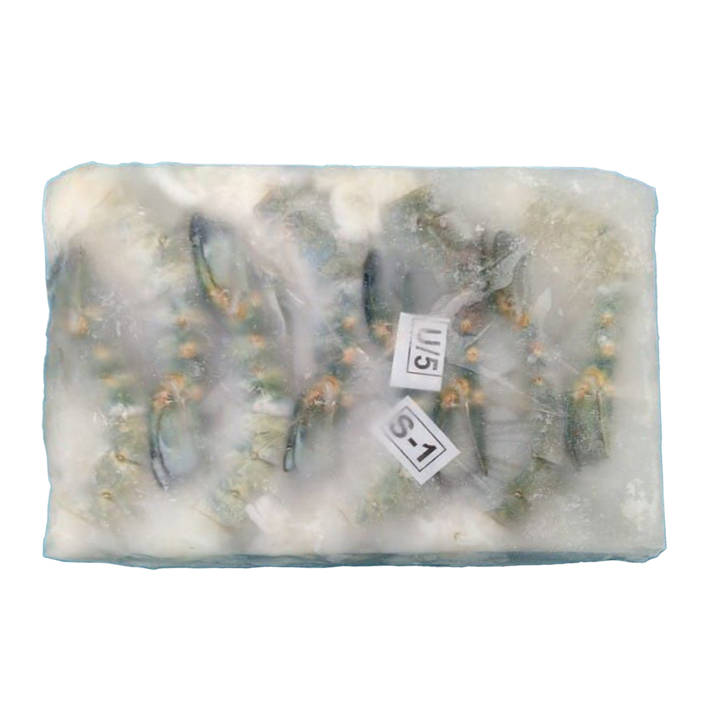 Midas Prawns 8/12 Freshwater HLSO Blocks 6x700g - Adams Food Service