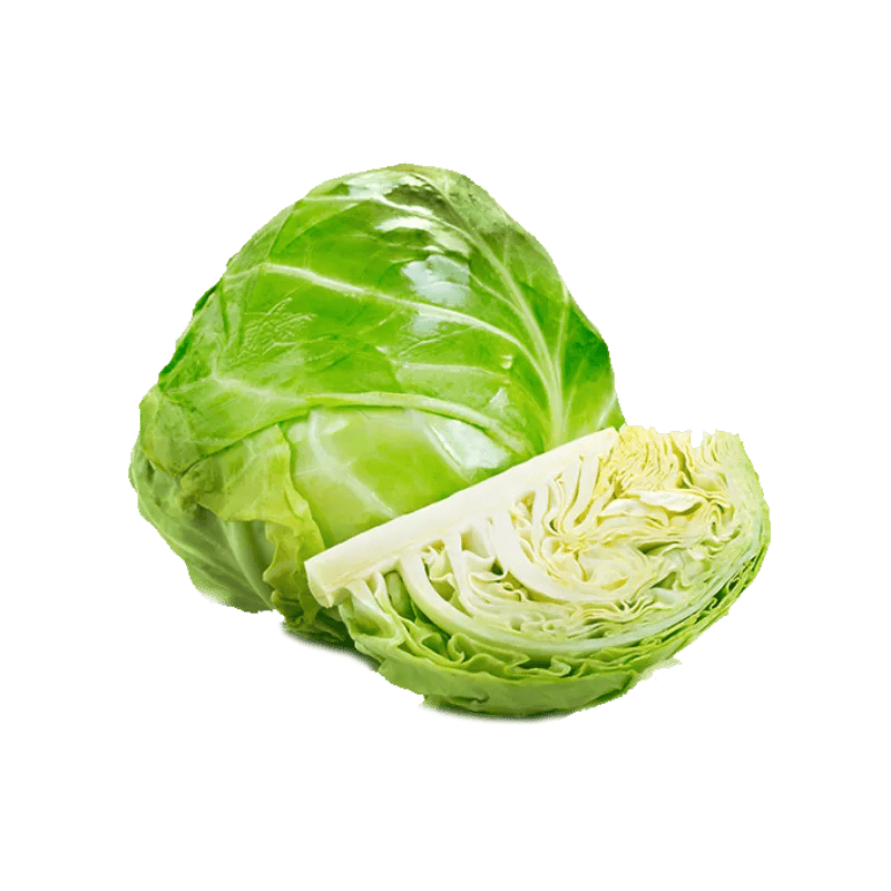 Fresh Iceberg Lettuce Box  