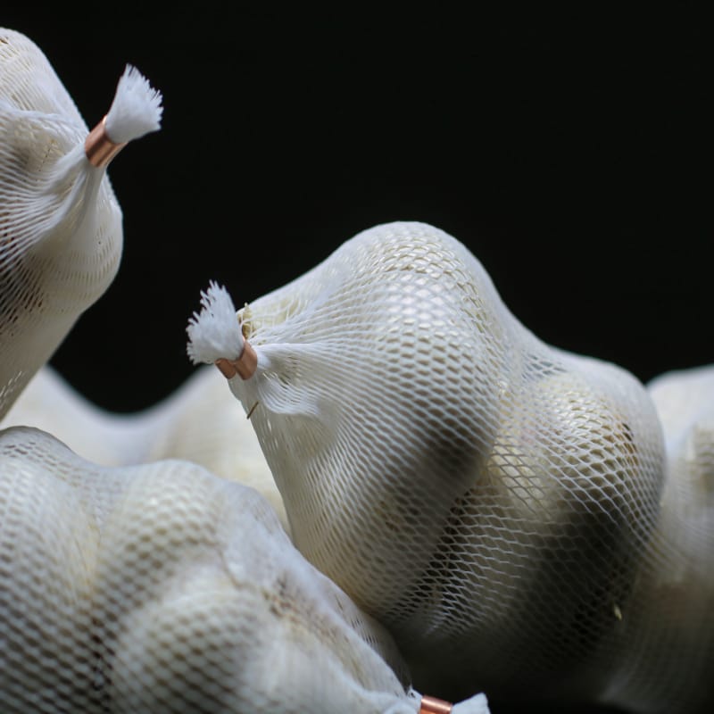 Fresh Garlic Bag  700