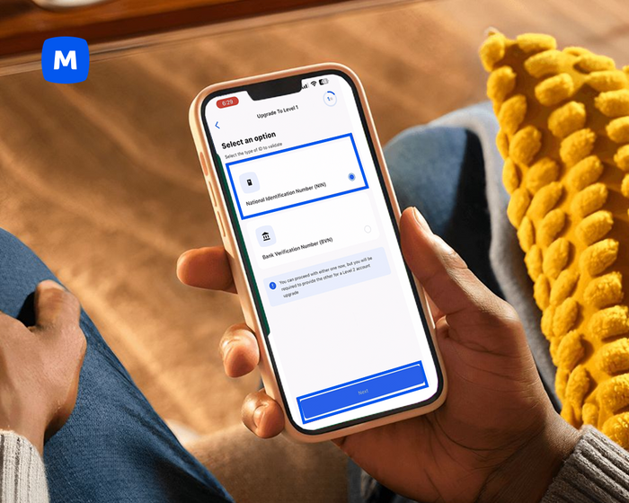 The _Nigerian Factor__ BVN and NIN Integration.png