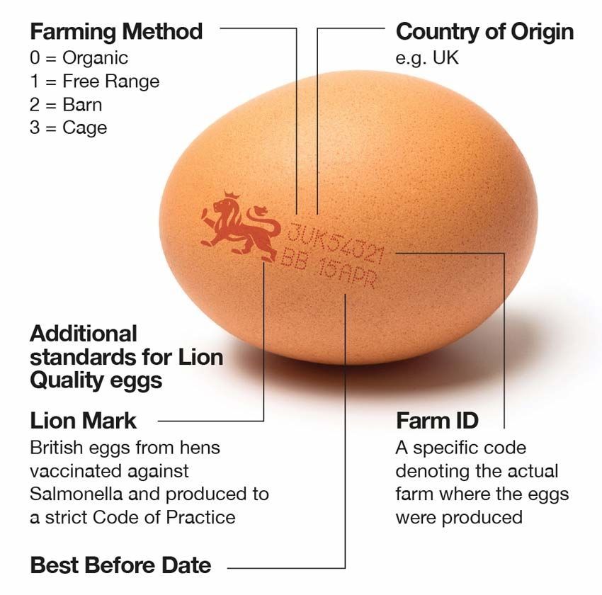 british-lion-egg-mark-850.jpg