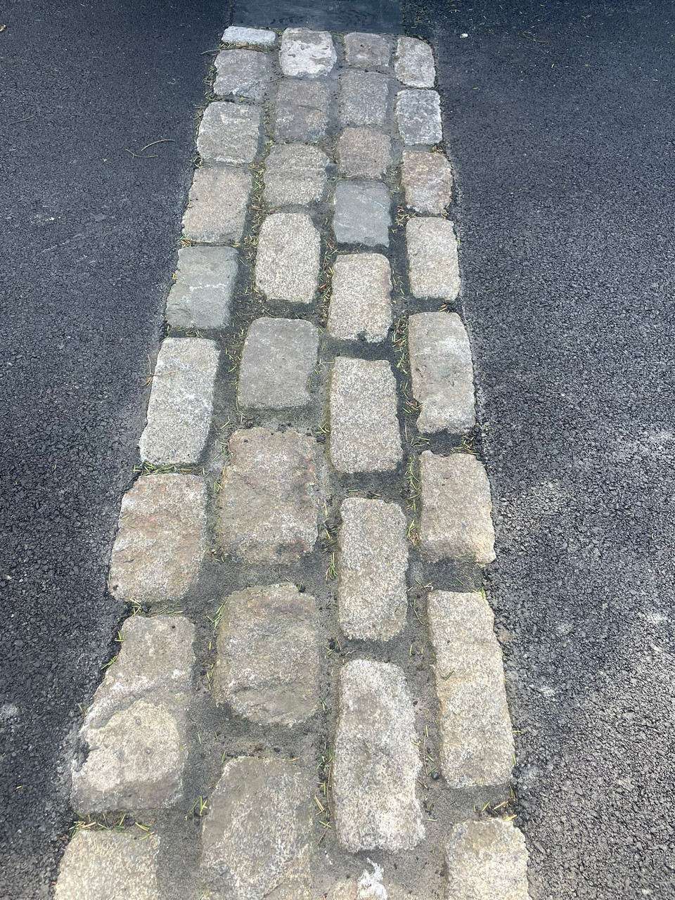image6.png