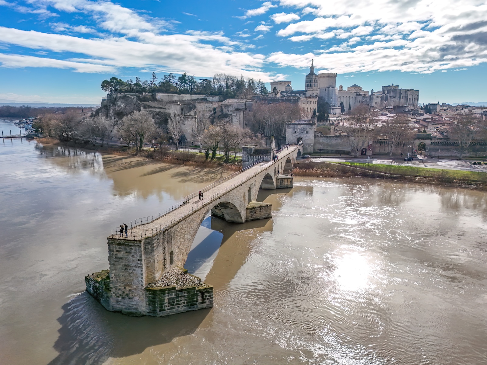 Saint-Bénézet bridge