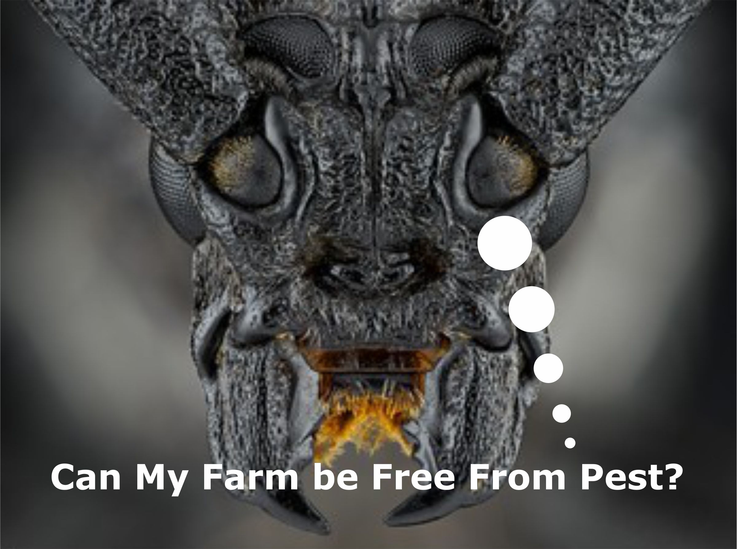 Farmers, Listen Up: The Secret to Managing Pests Without Massacre